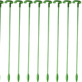 Orchid Stability Stand - Secure Design