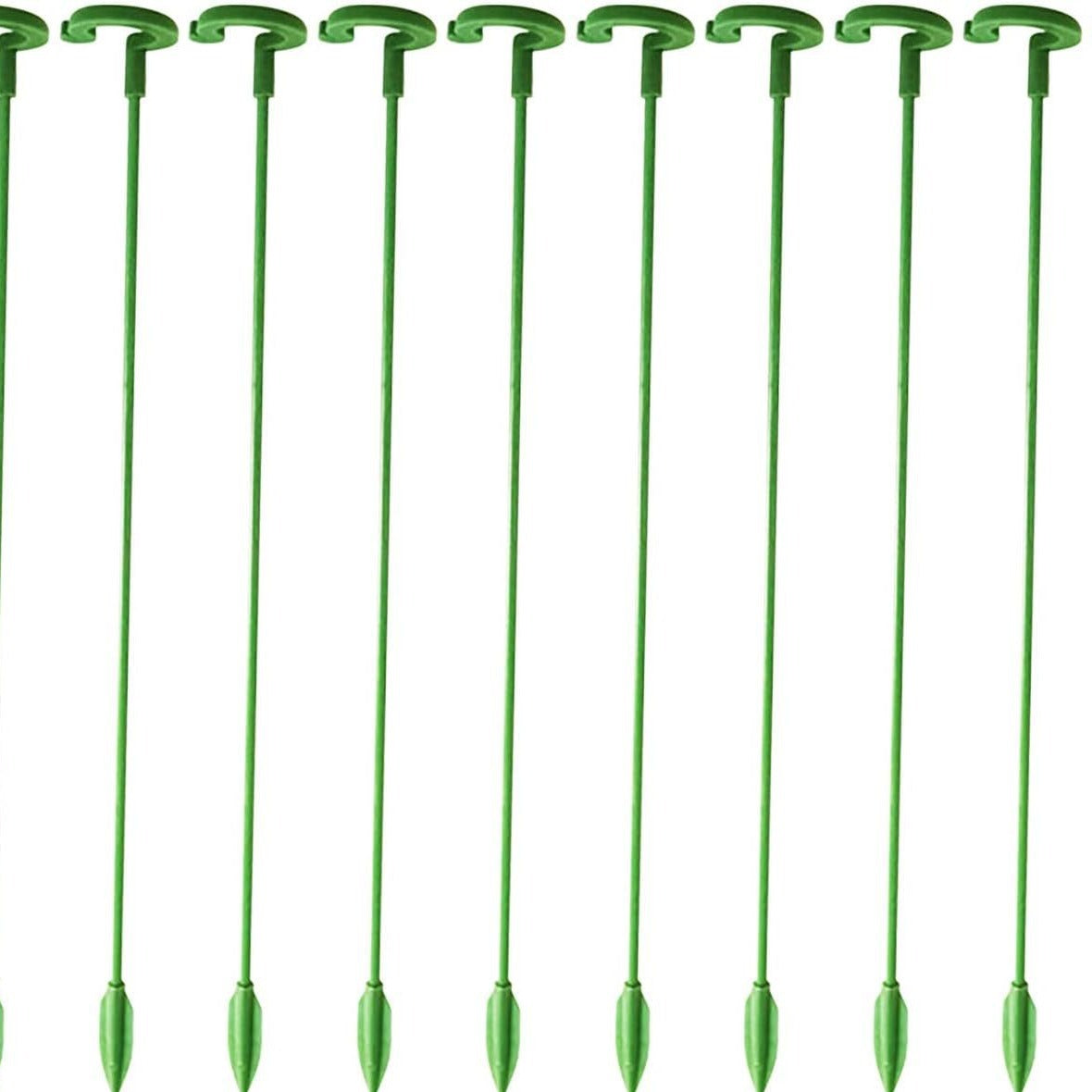 Orchid Stability Stand - Secure Design