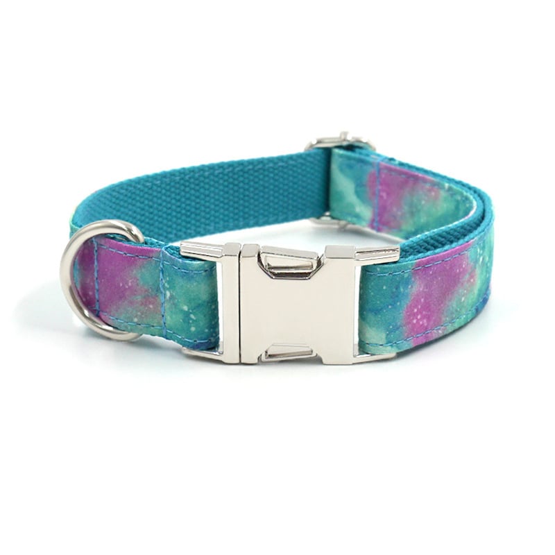 Stylish Dog Collar with Leash