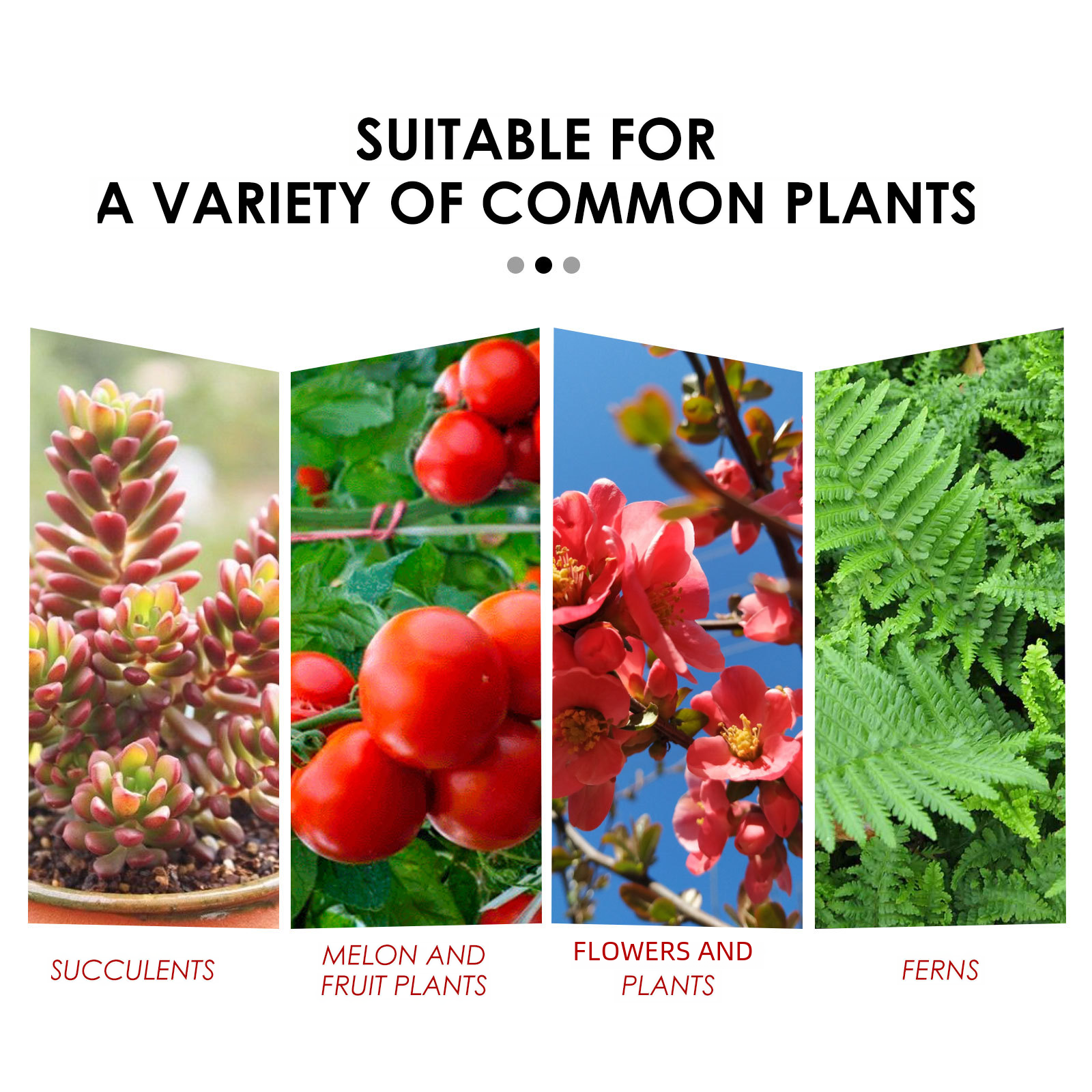 Yegbong Nutrient Release Tablets for Plant Growth