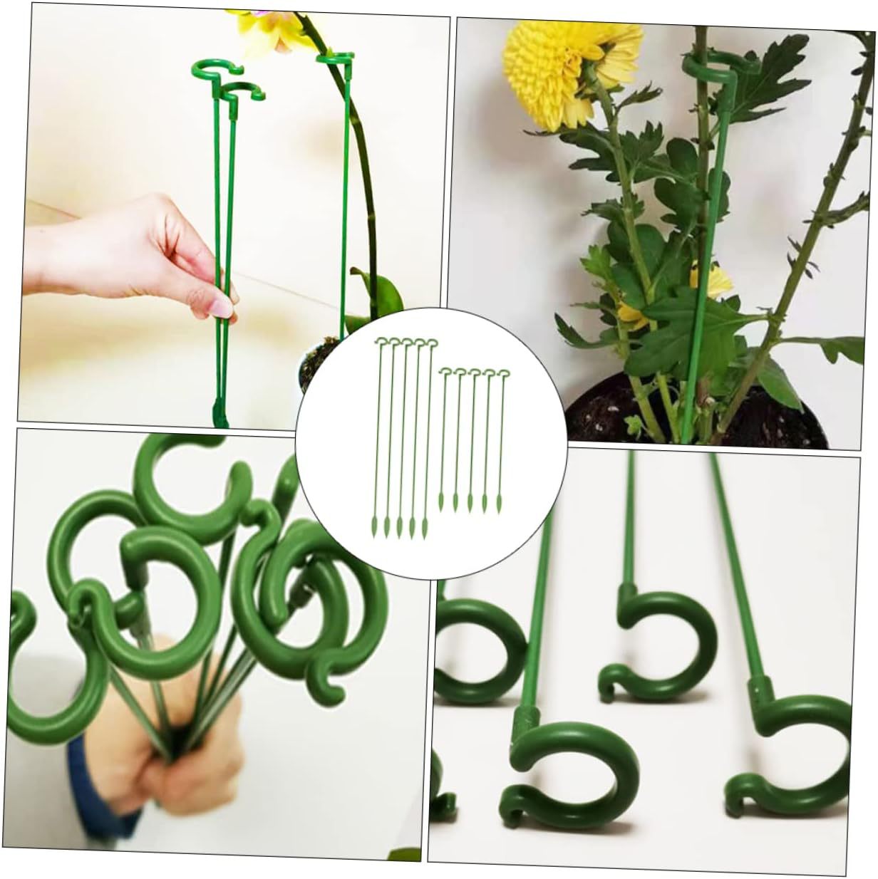 Orchid Stability Stand - Secure Design