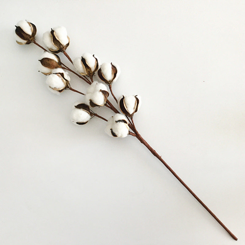 Dried Cotton Flower Stems for DIY Bouquet Decoration