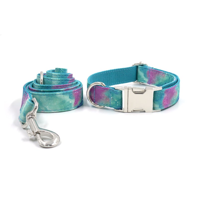 Stylish Dog Collar with Leash