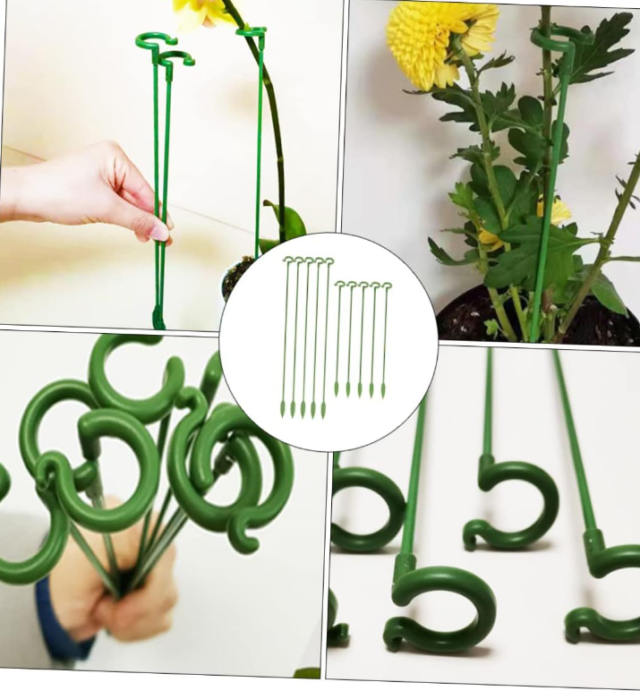 Orchid Stability Stand - Secure Design