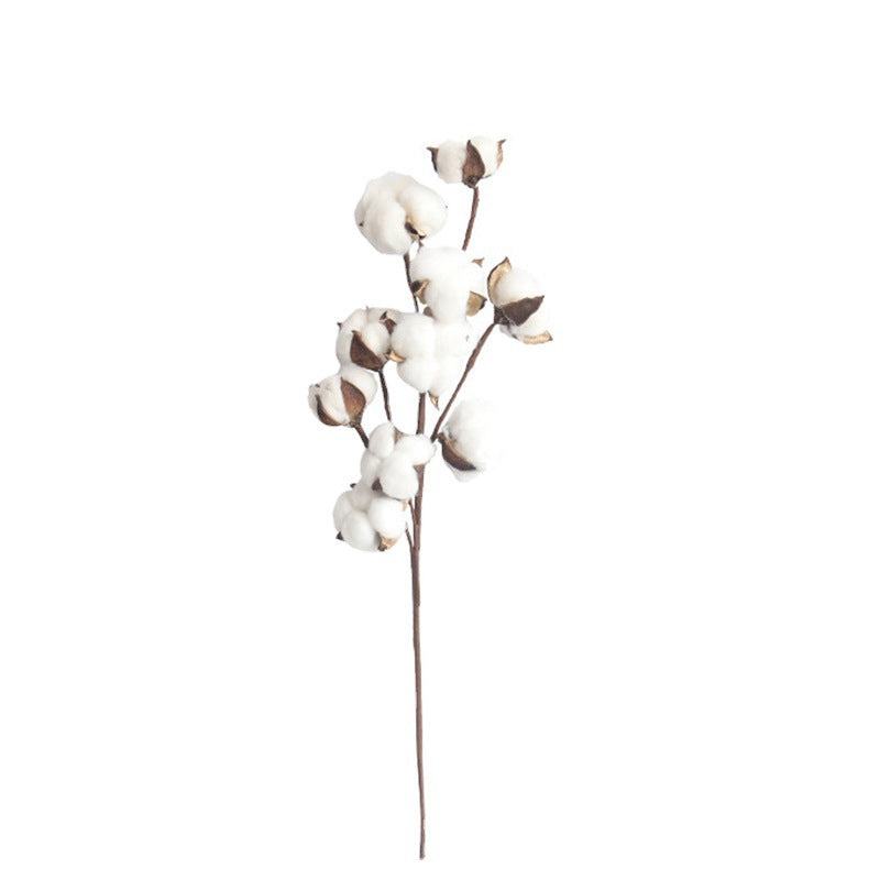 Dried Cotton Flower Stems for DIY Bouquet Decoration